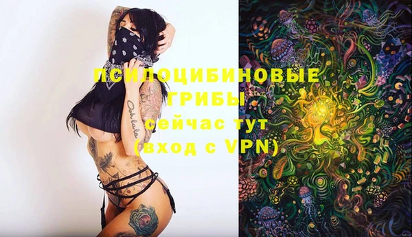 ешки Абдулино