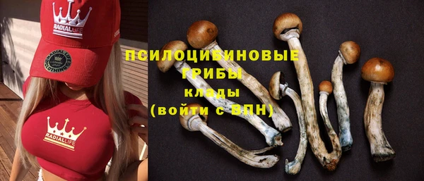 ешки Абдулино