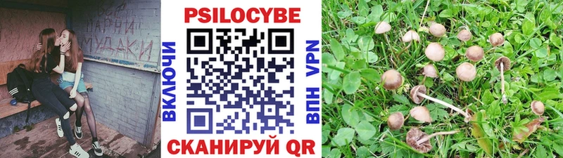 Галлюциногенные грибы Psilocybe  Ялта 