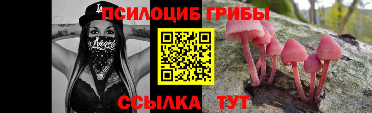 Псилоцибиновые грибы Cubensis  Вход с VPN  Ялта 